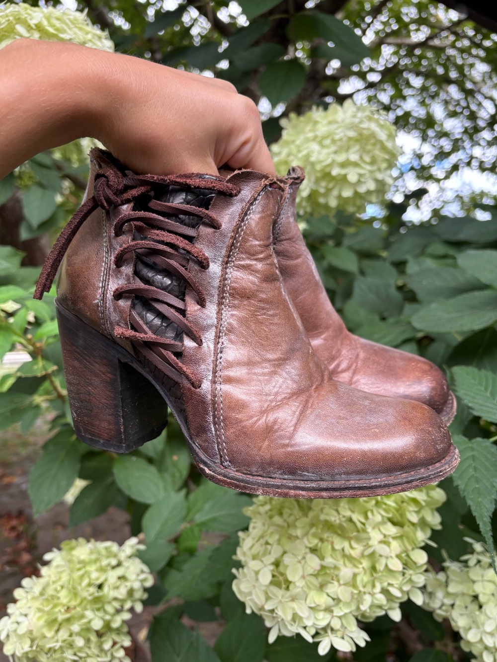 FreeBird Women's Brown Leather Lace-Up Block Heel Ankle Boots